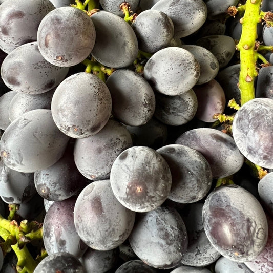 味は最高なのに…房じゃないと価値が下がるぶどう