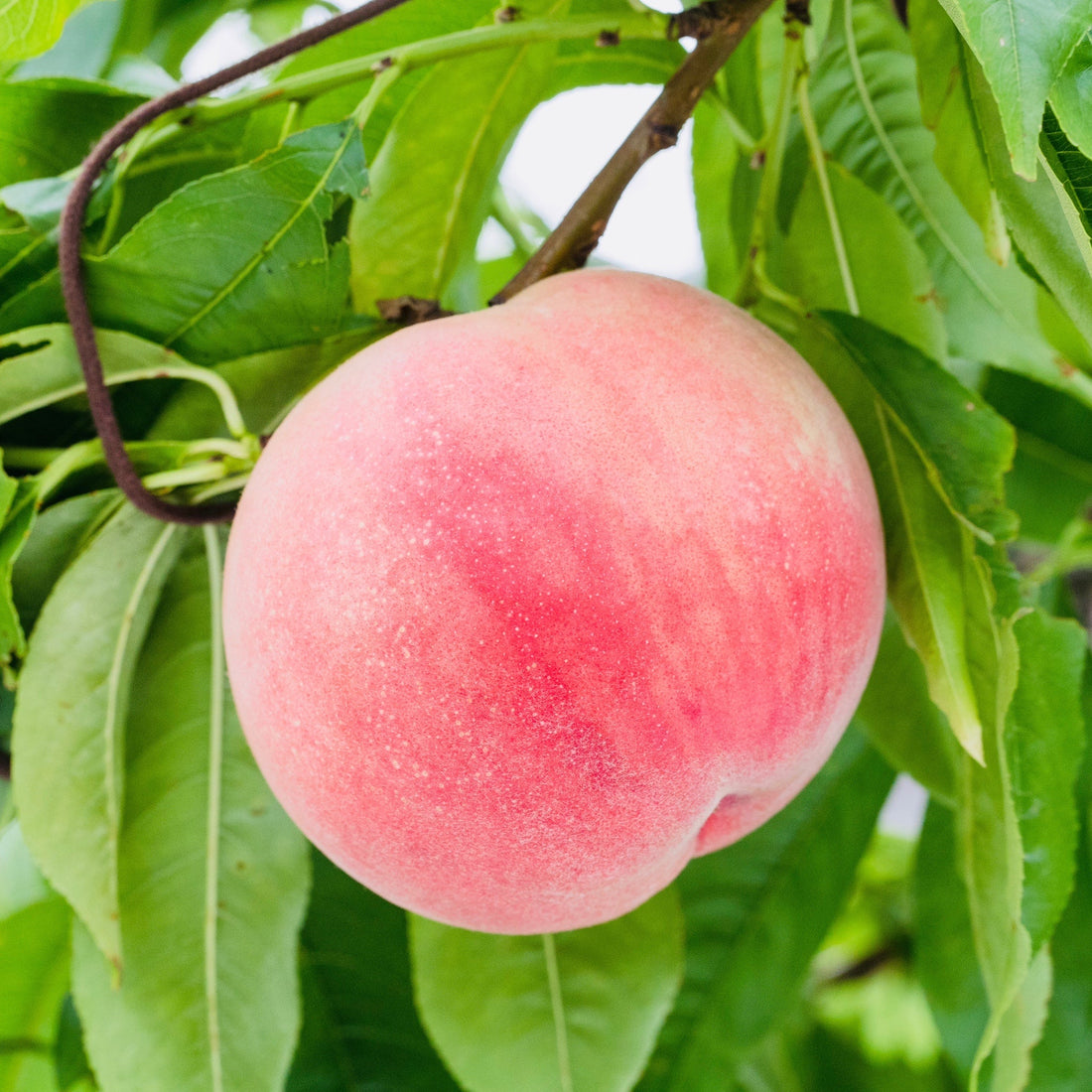 鹿児島の夜に思い出した、あの日からの15年