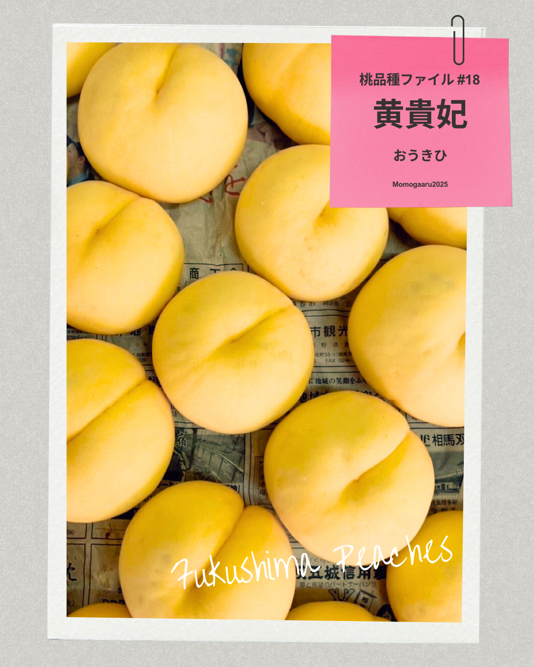 桃の品種 – ももがある 桃の品種 – ももがある