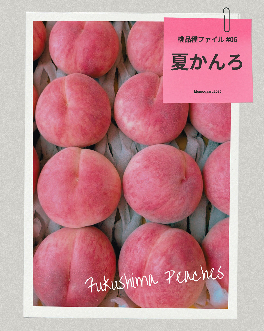 桃の品種 – ももがある