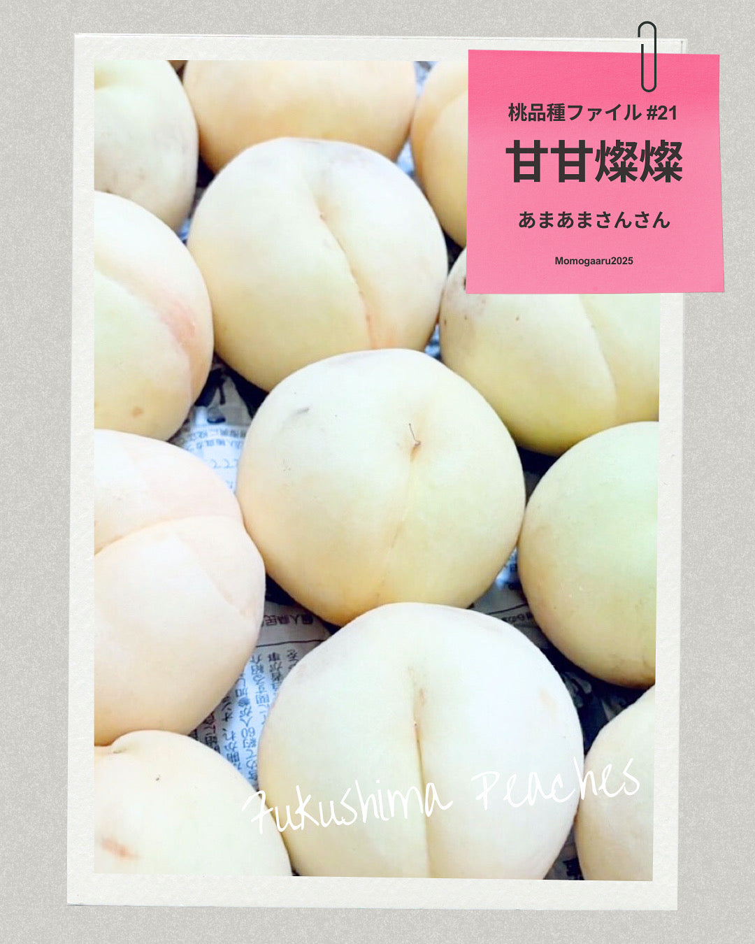 桃の品種 – ももがある