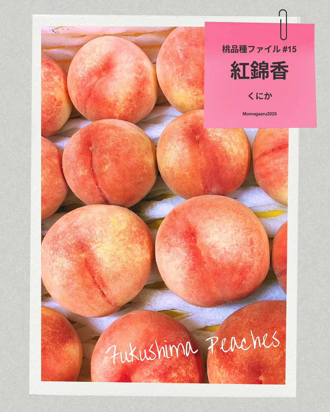 桃の品種 – ももがある