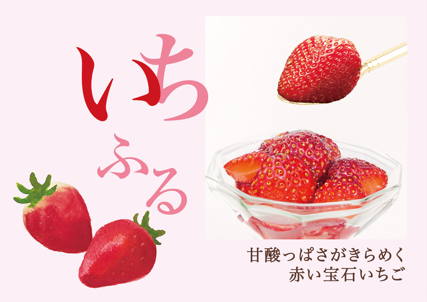 ふるふる色彩セット(果物8種) / ギフト